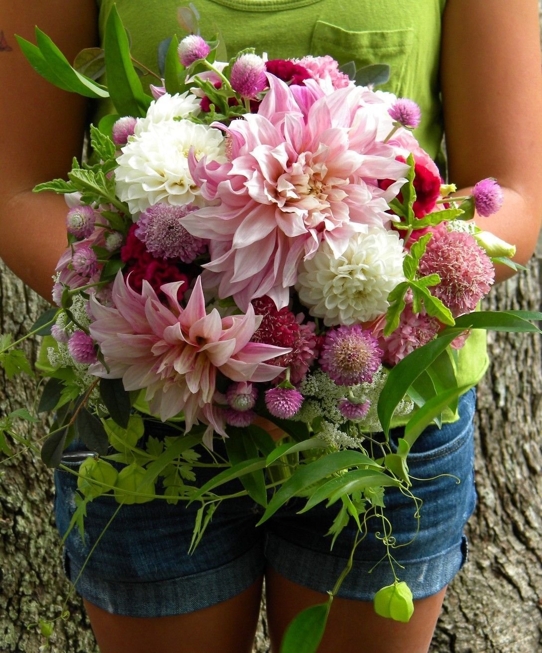 Георгины Purple Bouquet