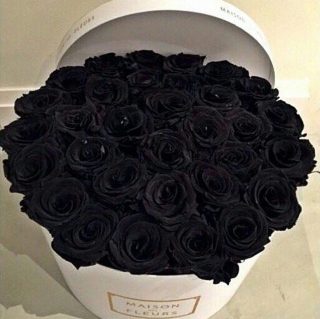 Черные розы большой букет