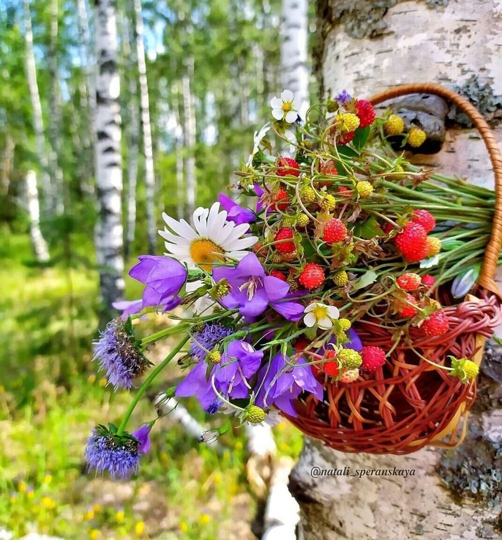 Полевые цветы в корзине ягоды