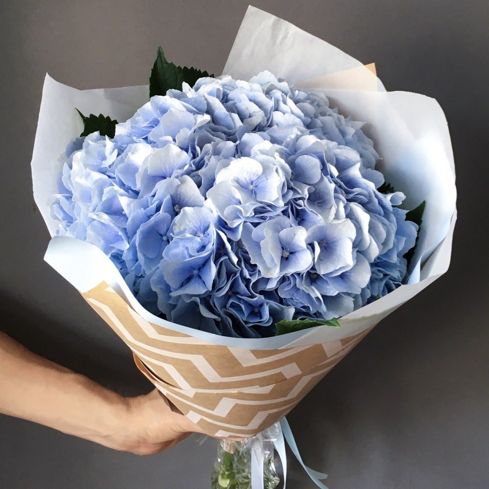 Гортензия Bouquet Rose