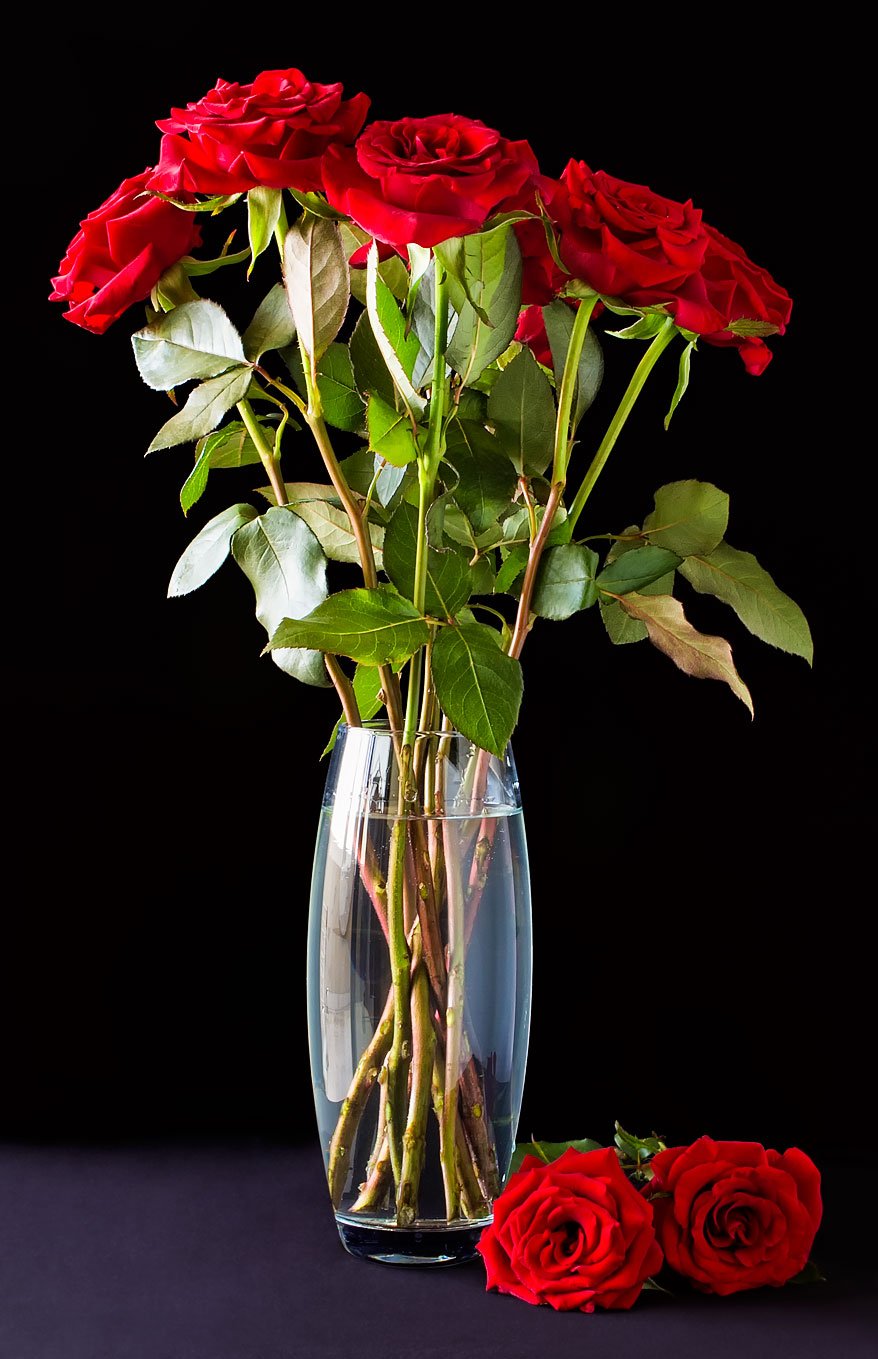 FTD Red Romance Rose Bouquet