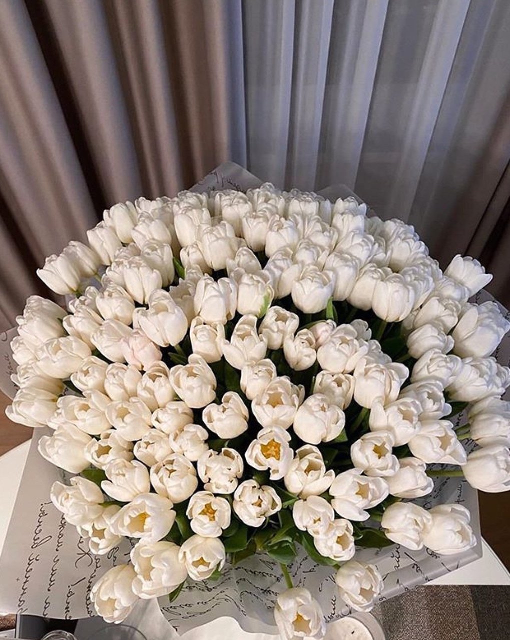 Белые Розы Дома