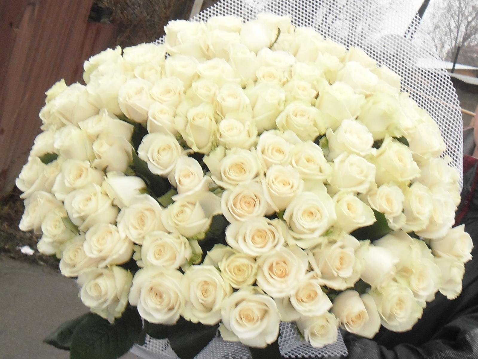 101 Белая роза (70 см.)