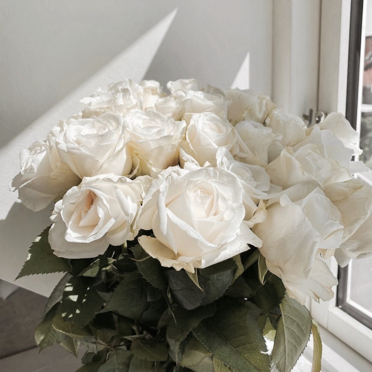 букет белых роз фото дома