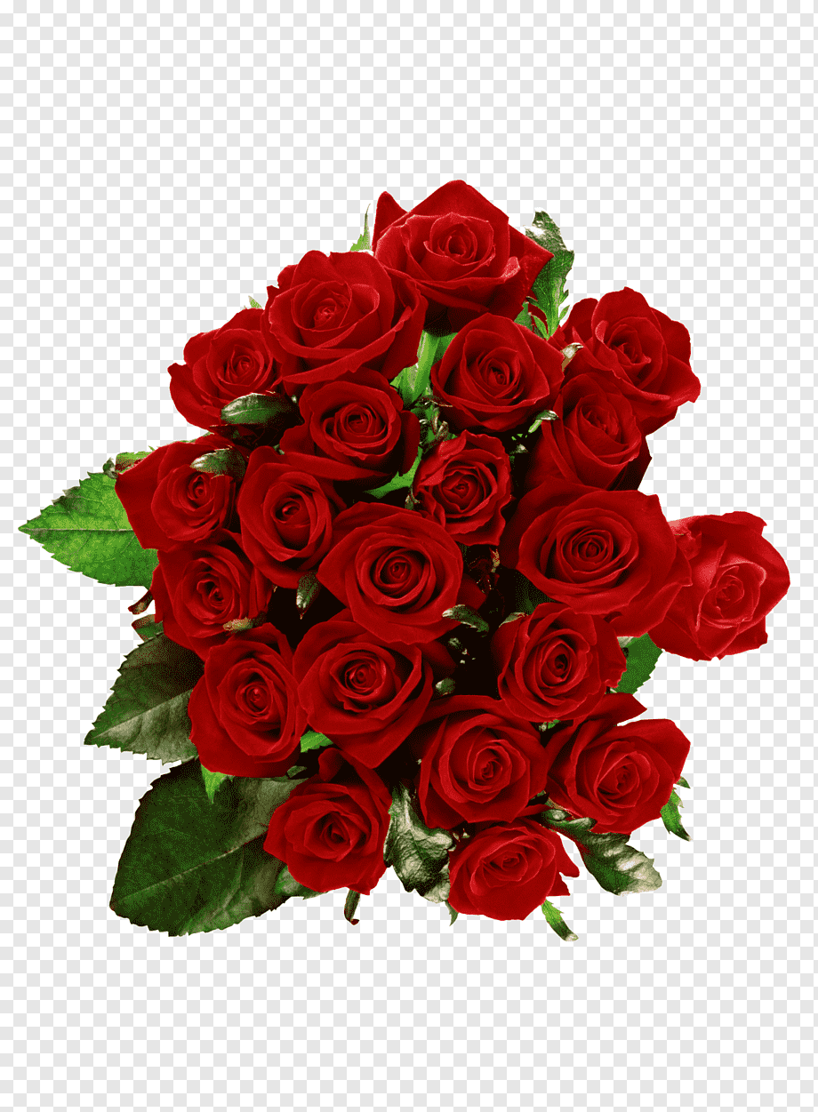 Букет красных роз на прозрачном фоне
