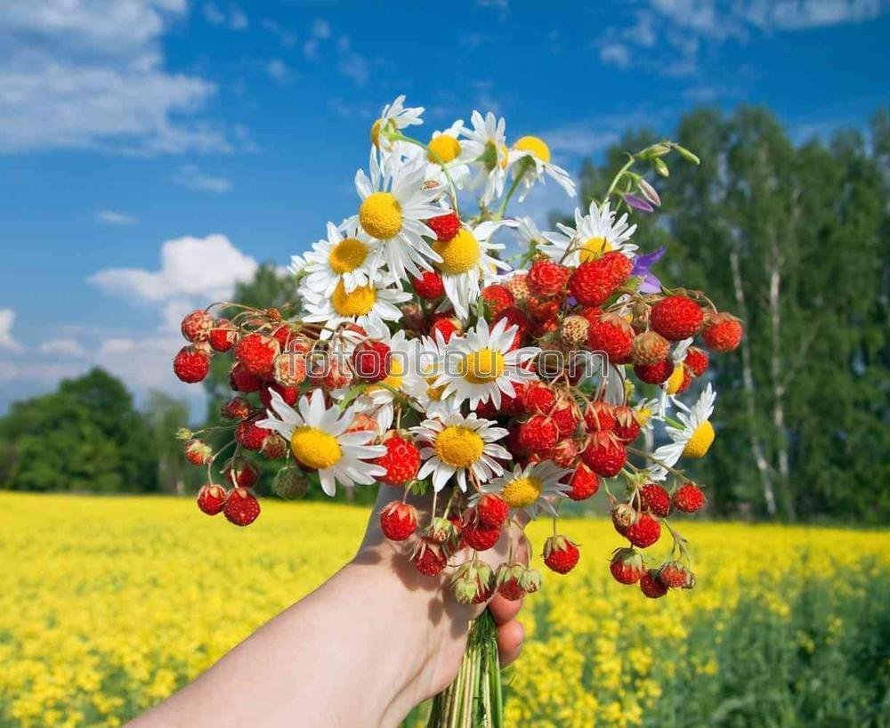 Летний букет с ромашками