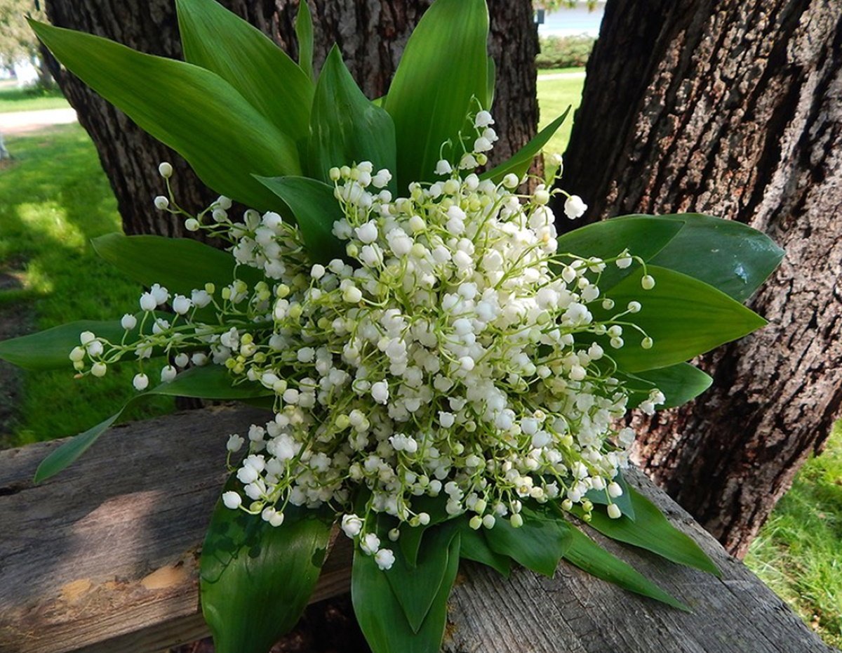 Сирень и Ландыши букет