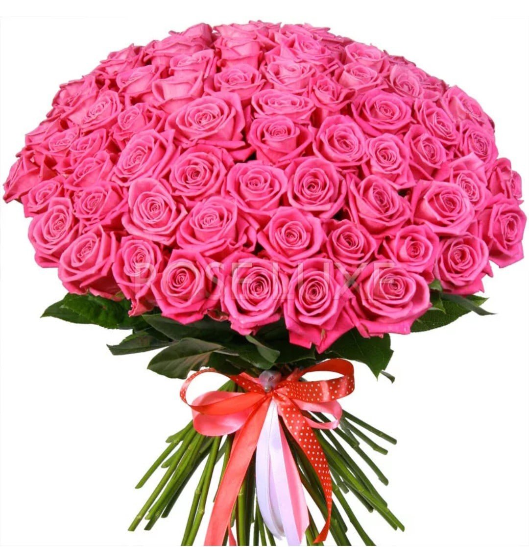 букет роз большой и красивый фото