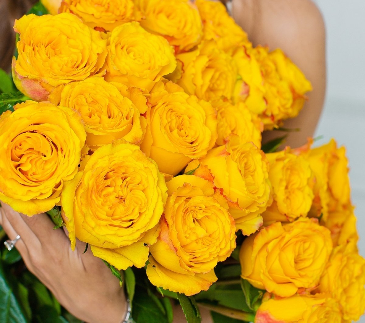 Огромный букет желтых. Желтые розы Эквадор.