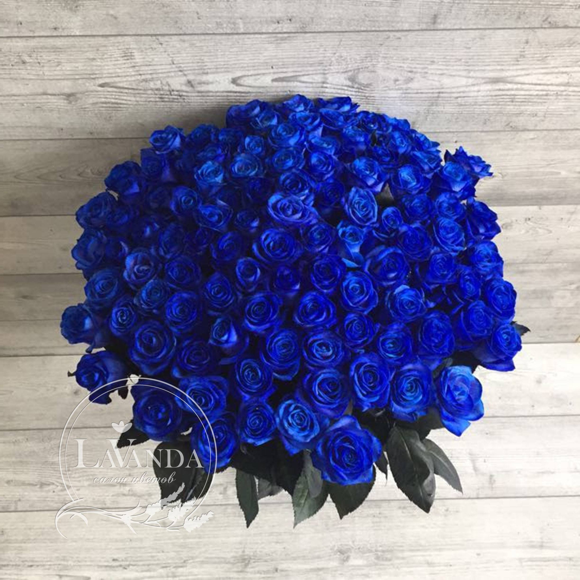 Синие Кустовые Розы