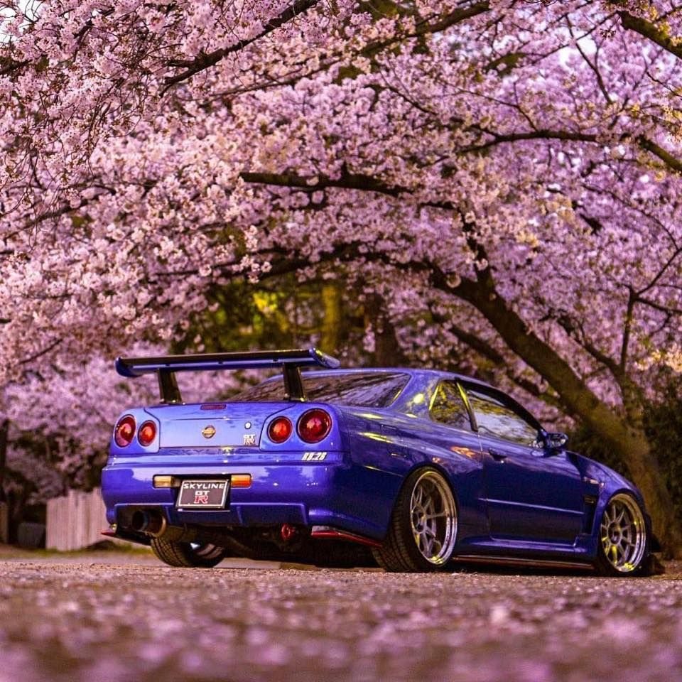 Nissan Skyline r34 Сакура