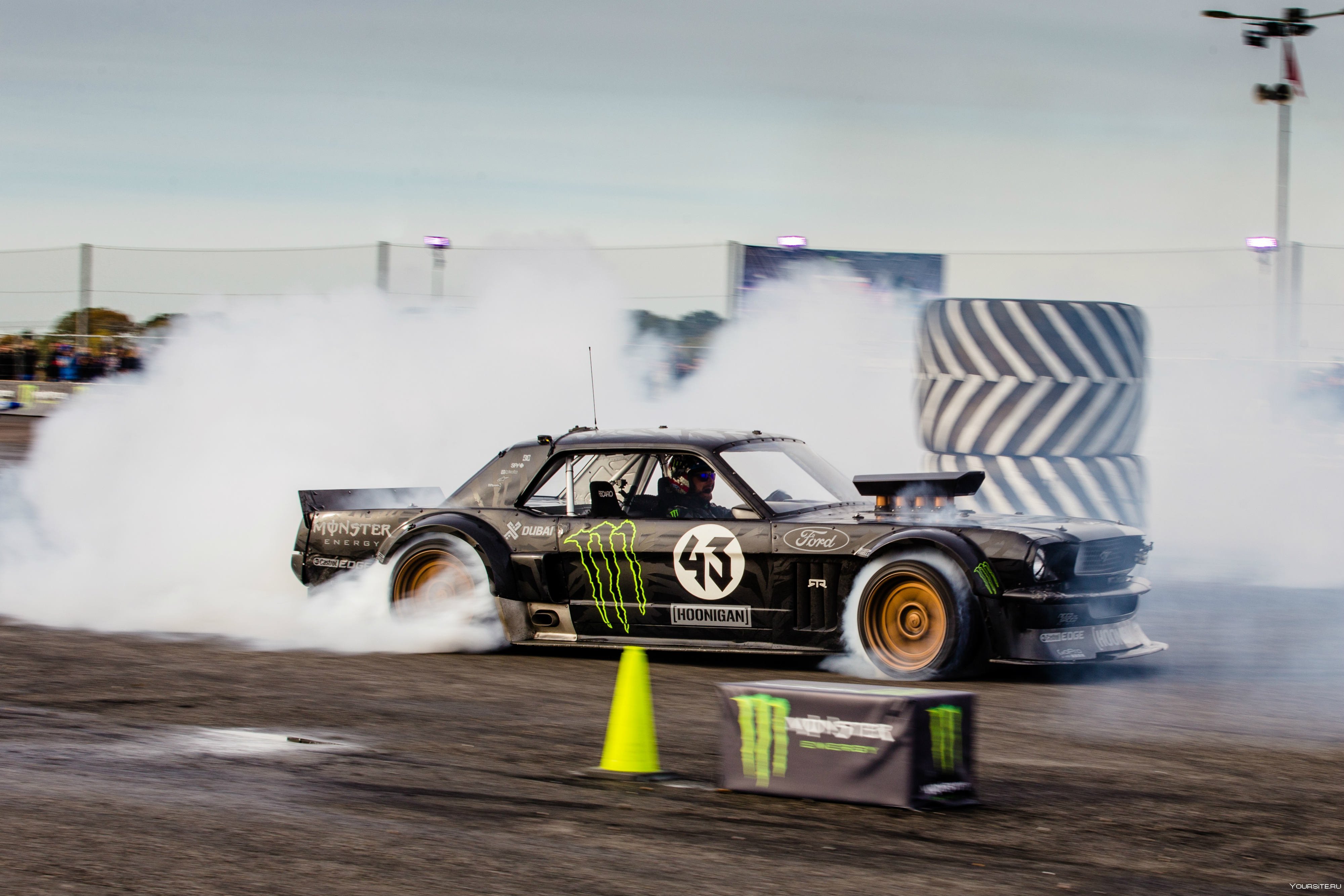 Ford Mustang gt HOONIGAN