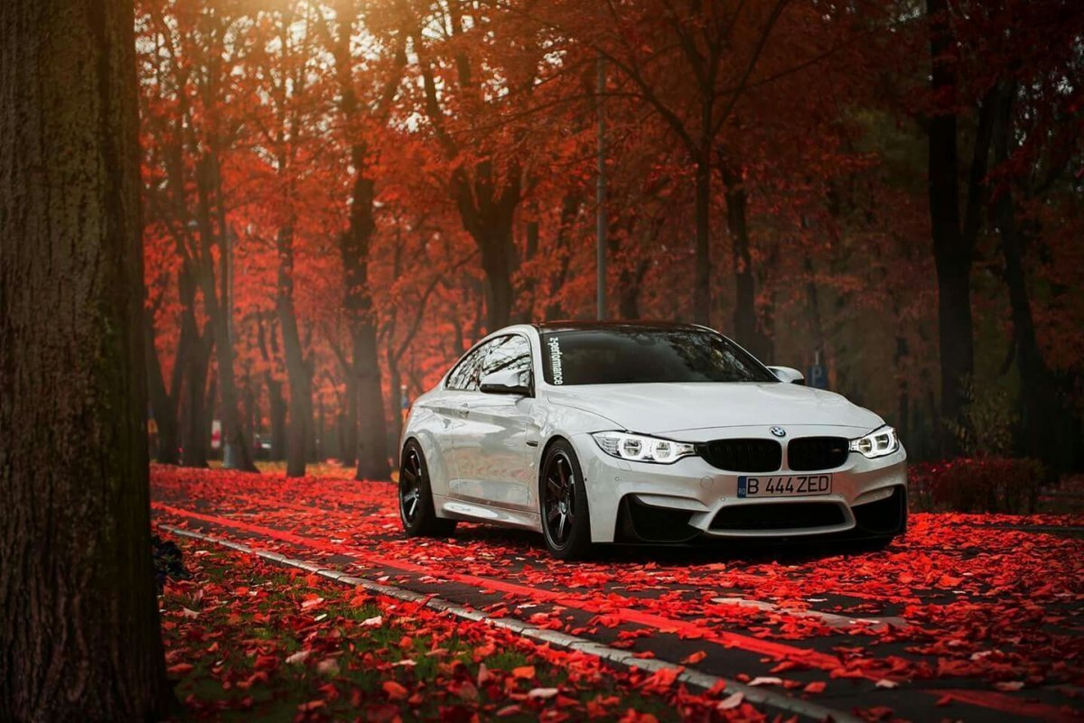 BMW m5 HD осенью