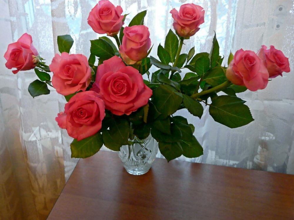 Розовые розы в вазе дома