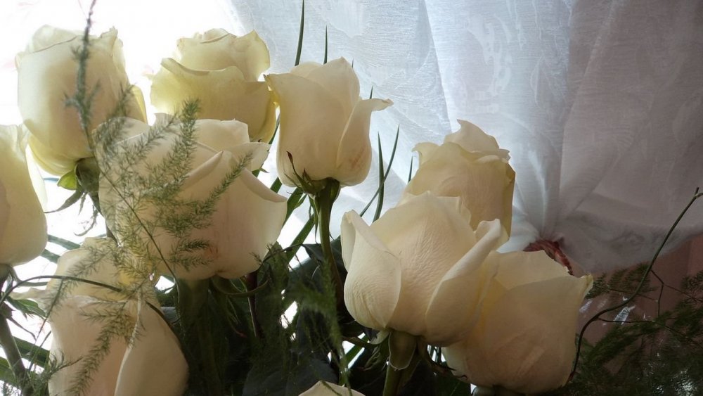 Белые розы в вазе на окне