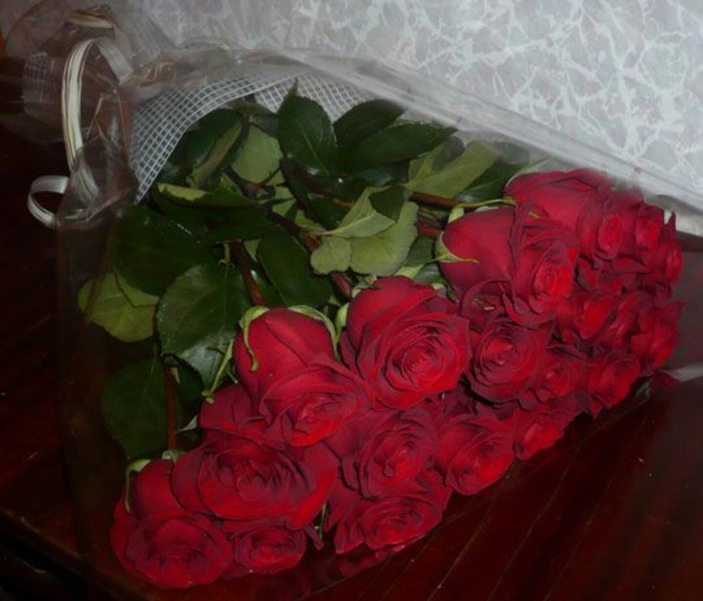 Розовые розы с окантовкой