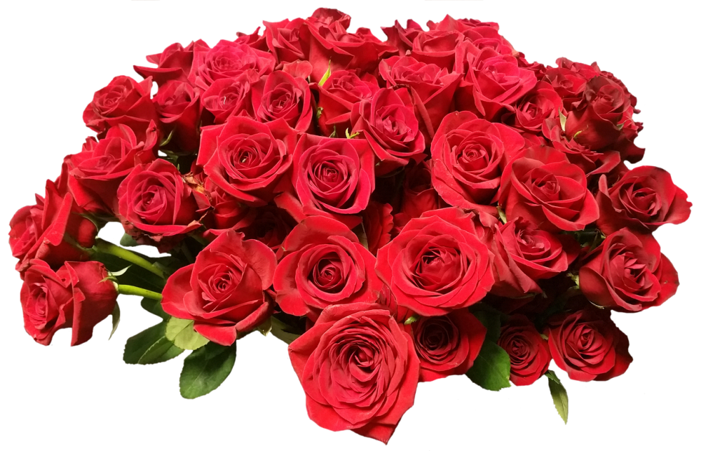 Букет красных роз 25 шт