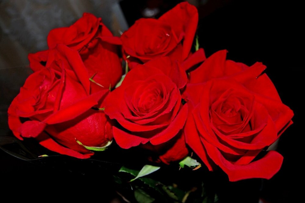 5 Красных роз