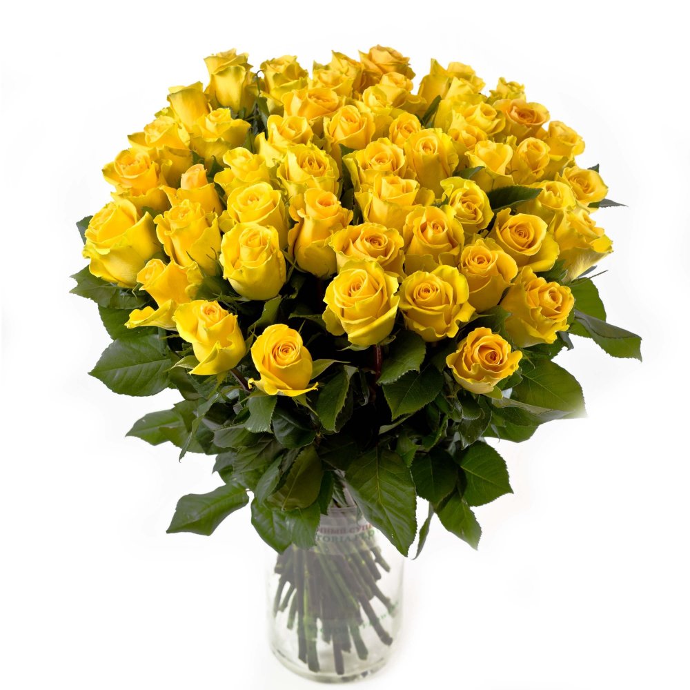 Желтые Эквадорские розы сорта