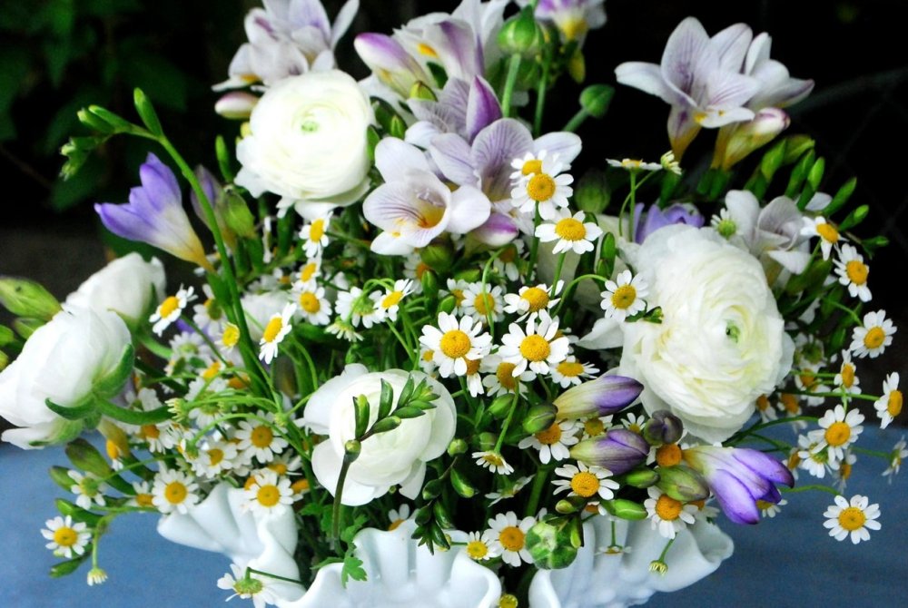 Фрезии цветы с 8 марта