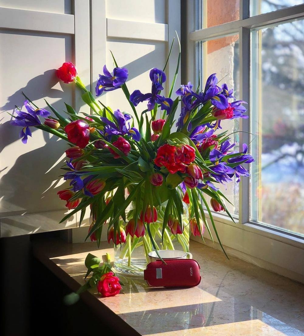 Цветы букет на окне
