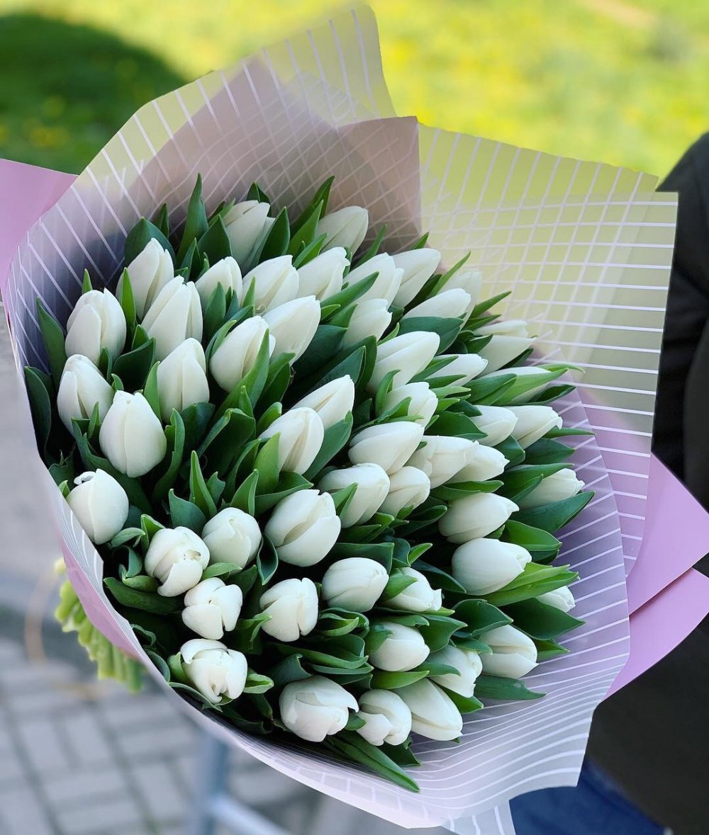Белые тюльпаны необычные