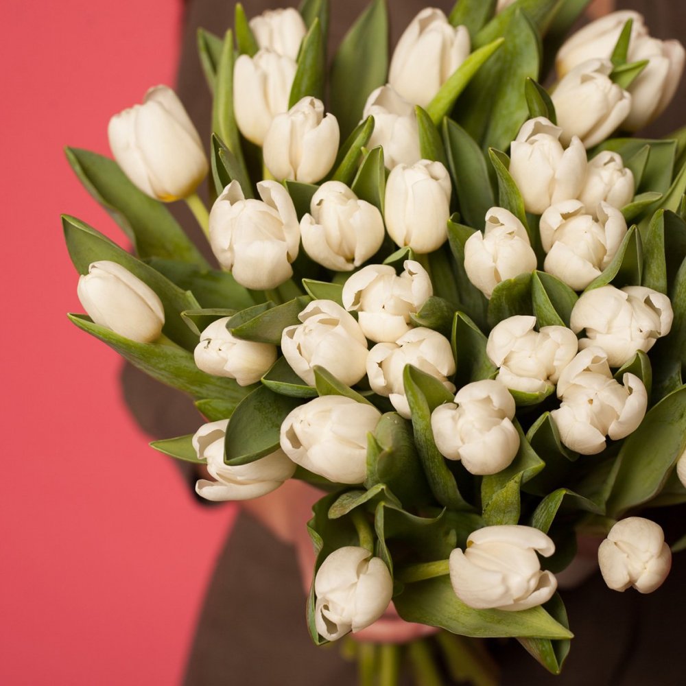 Сьильный букет белых тюльпан