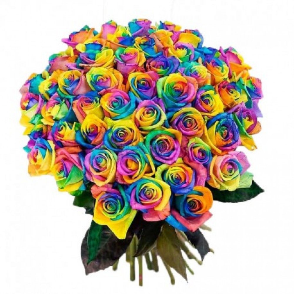 Разноцветные розы