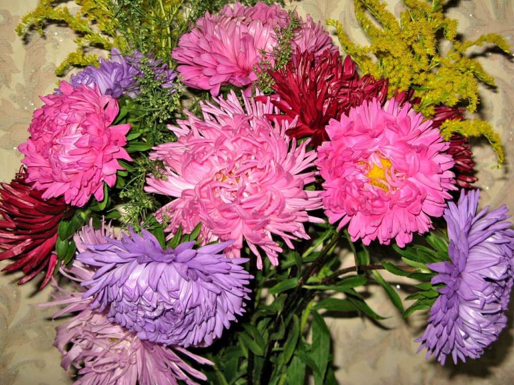 Георгины в букетах с хризантемой и розой