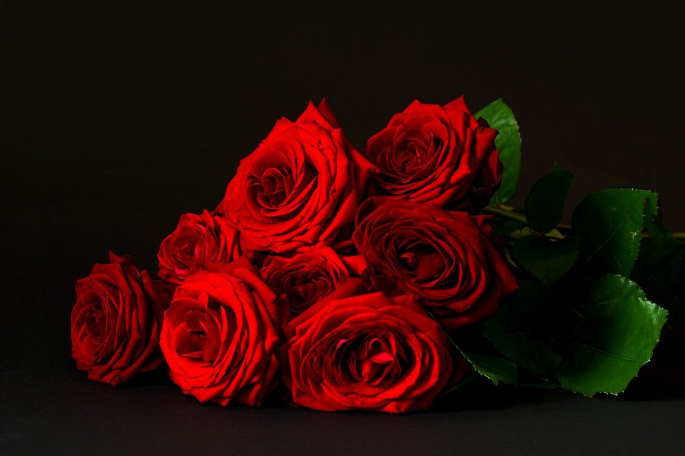 Букет красных роз на черном фоне