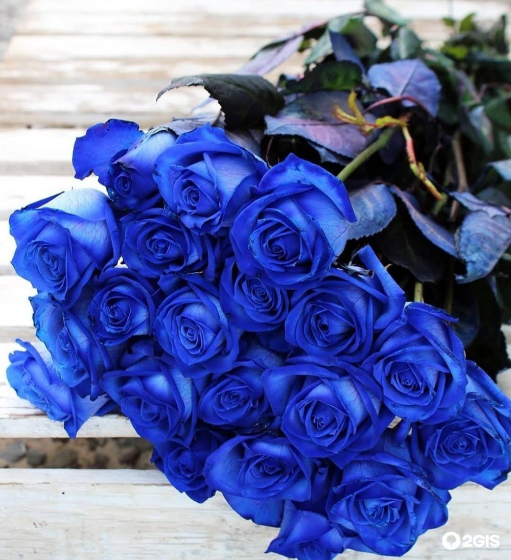 Букет красивых синих роз в коробке