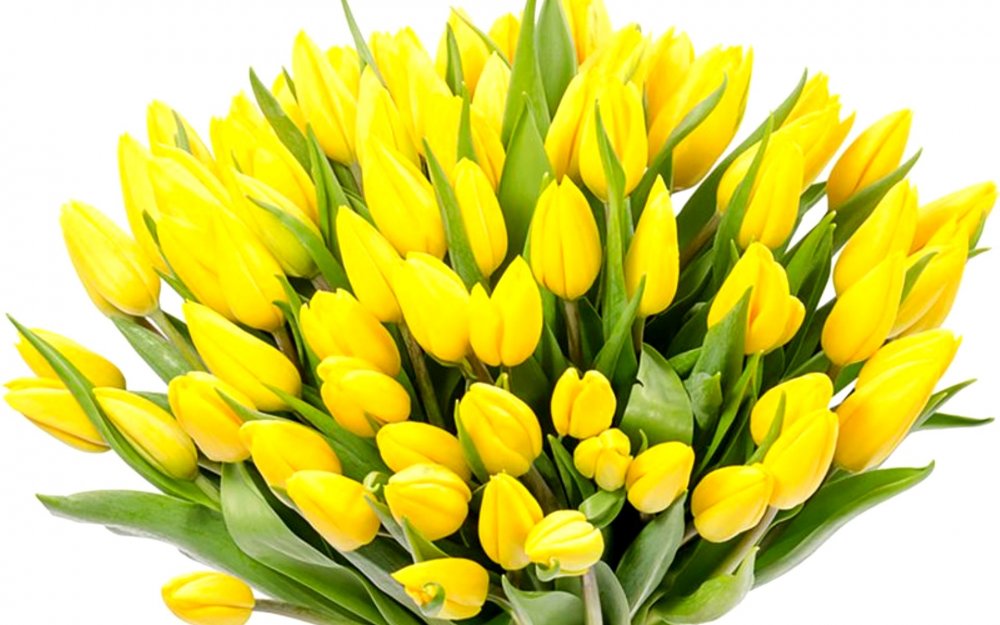 Букет желтых тюльпанов с 8 марта