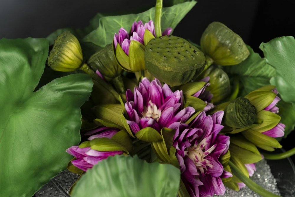 Лотус цветок букет