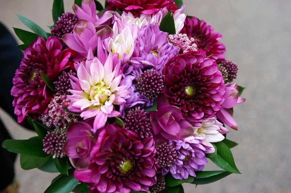 Георгины Purple Bouquet