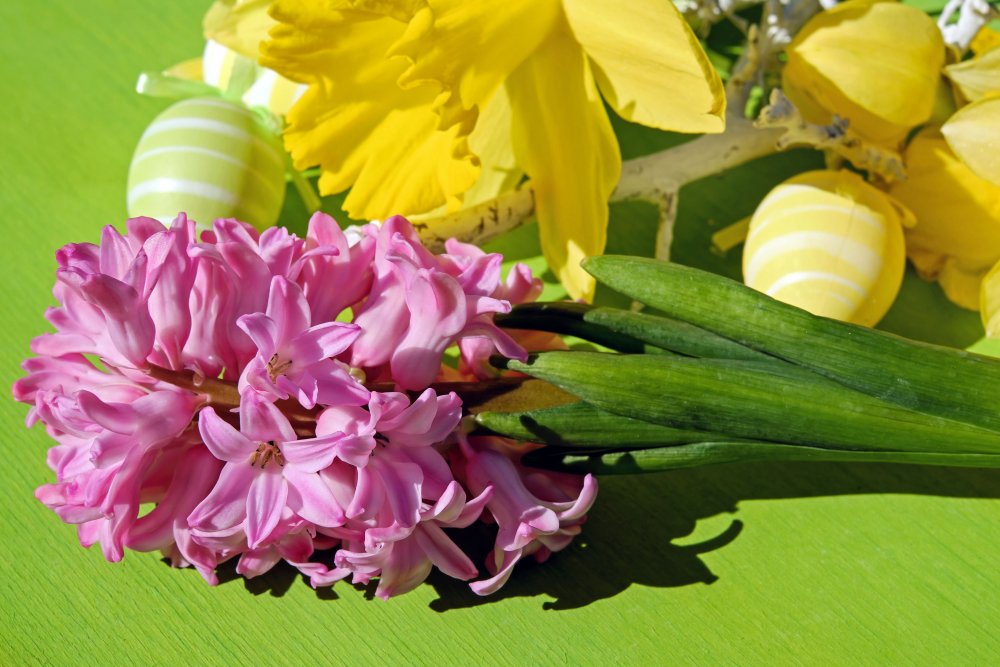 Букет тюльпаны ирисы гиацинты