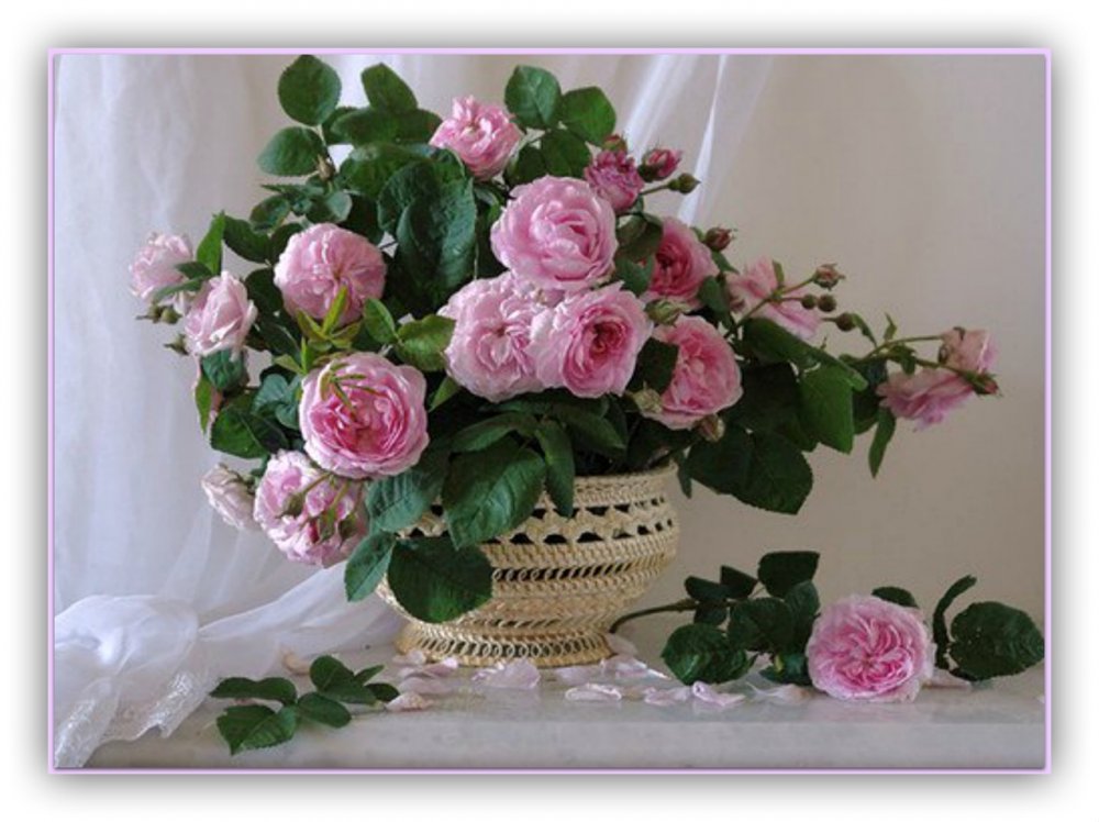 Чайные розы в вазе
