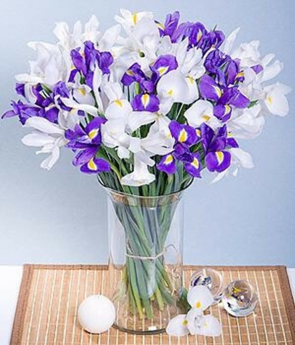 Желтые тюльпаны с фиолетовыми ирисами