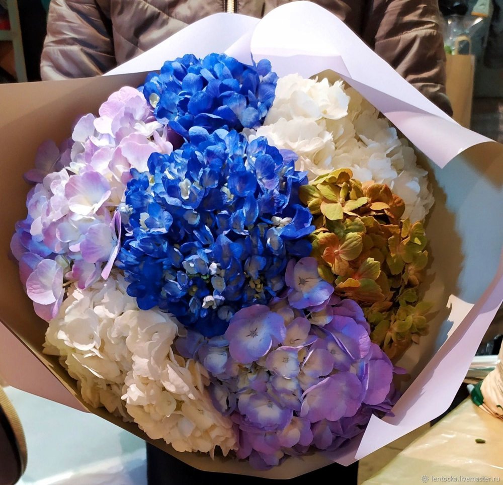 Hydrangea букет