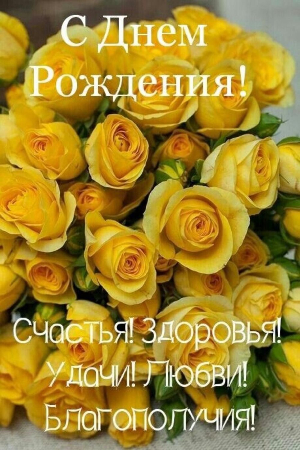 Желтые кустовые розы