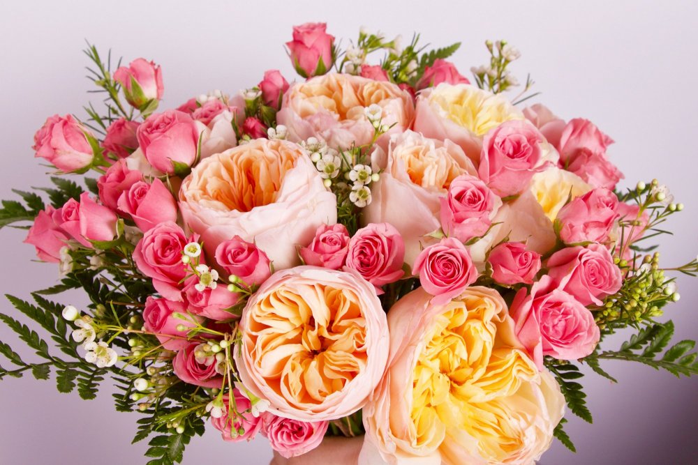 Гортензия букет роз Bouquet Rose