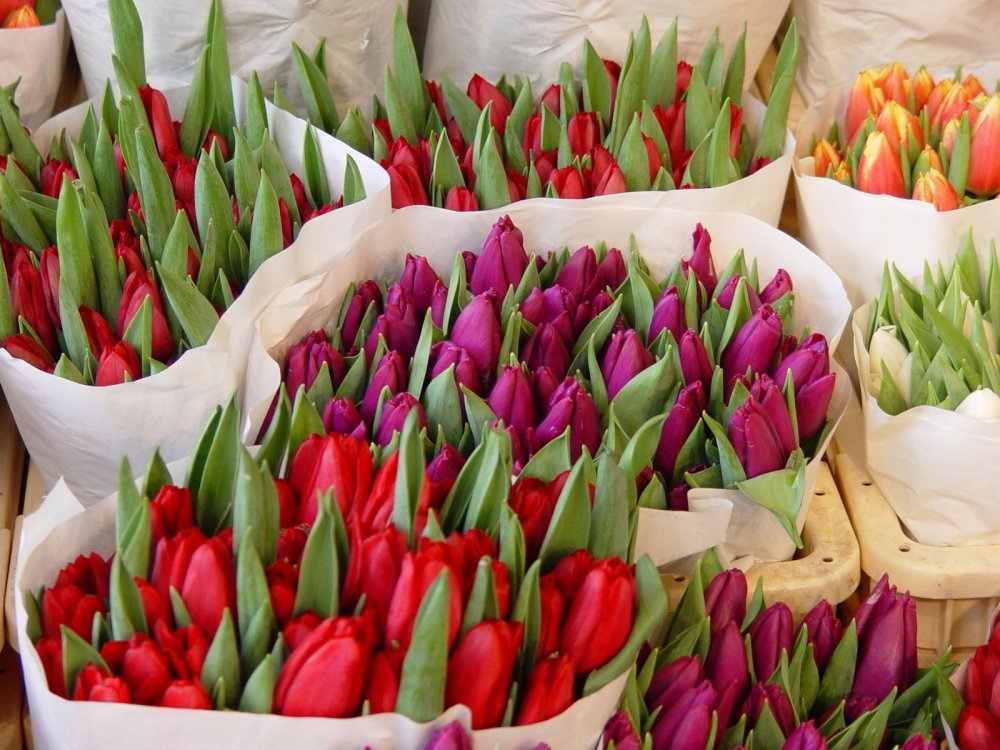 Flower Market Амстердам