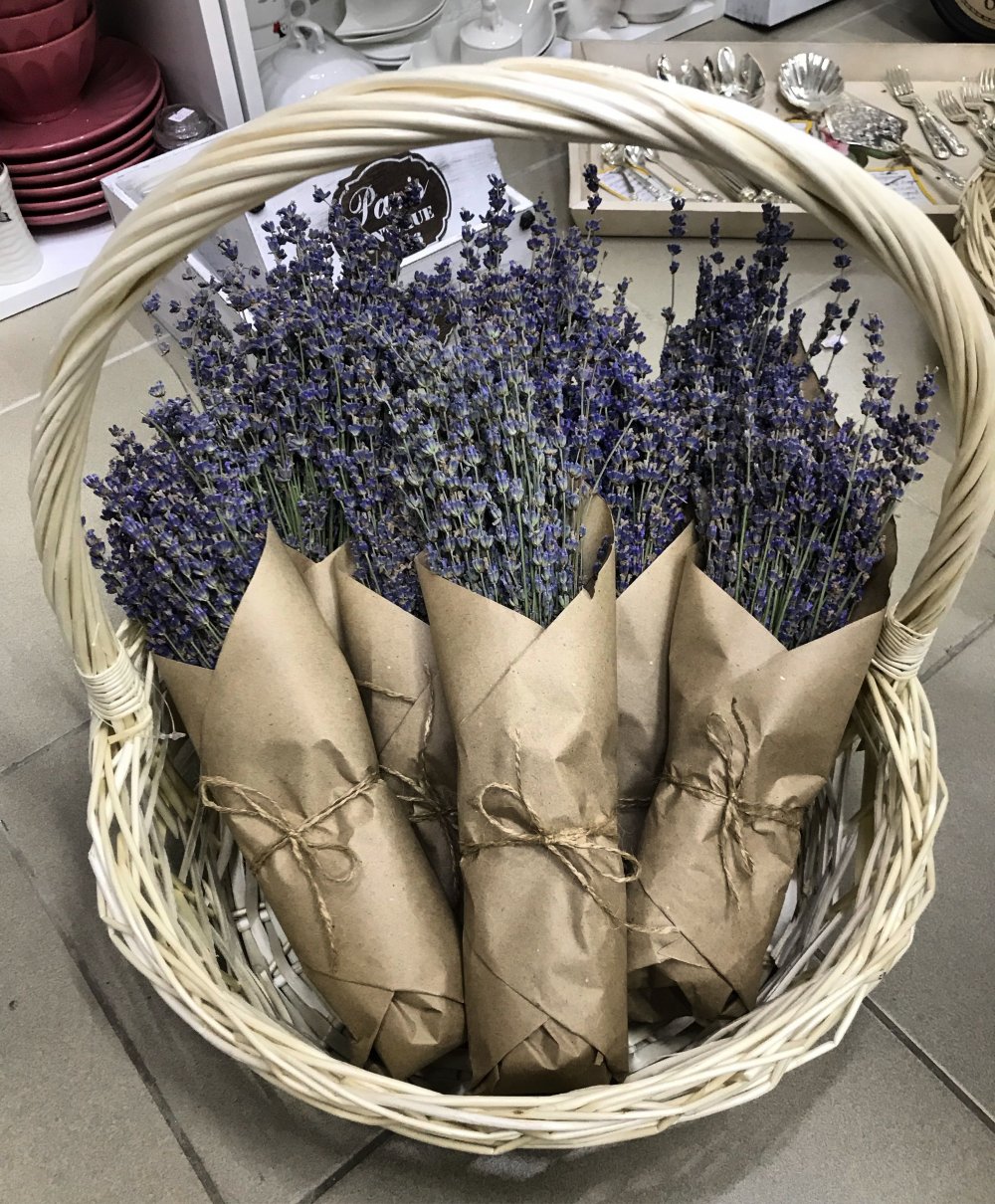 Лаванда (Lavandula) Эстетика