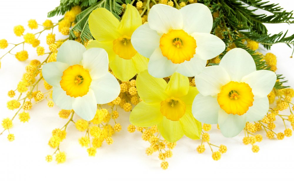 Желтые цветы на Пасху