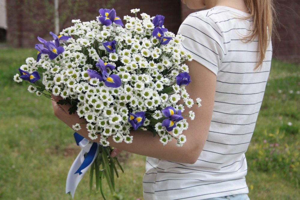 Букет ромашек Эстетика