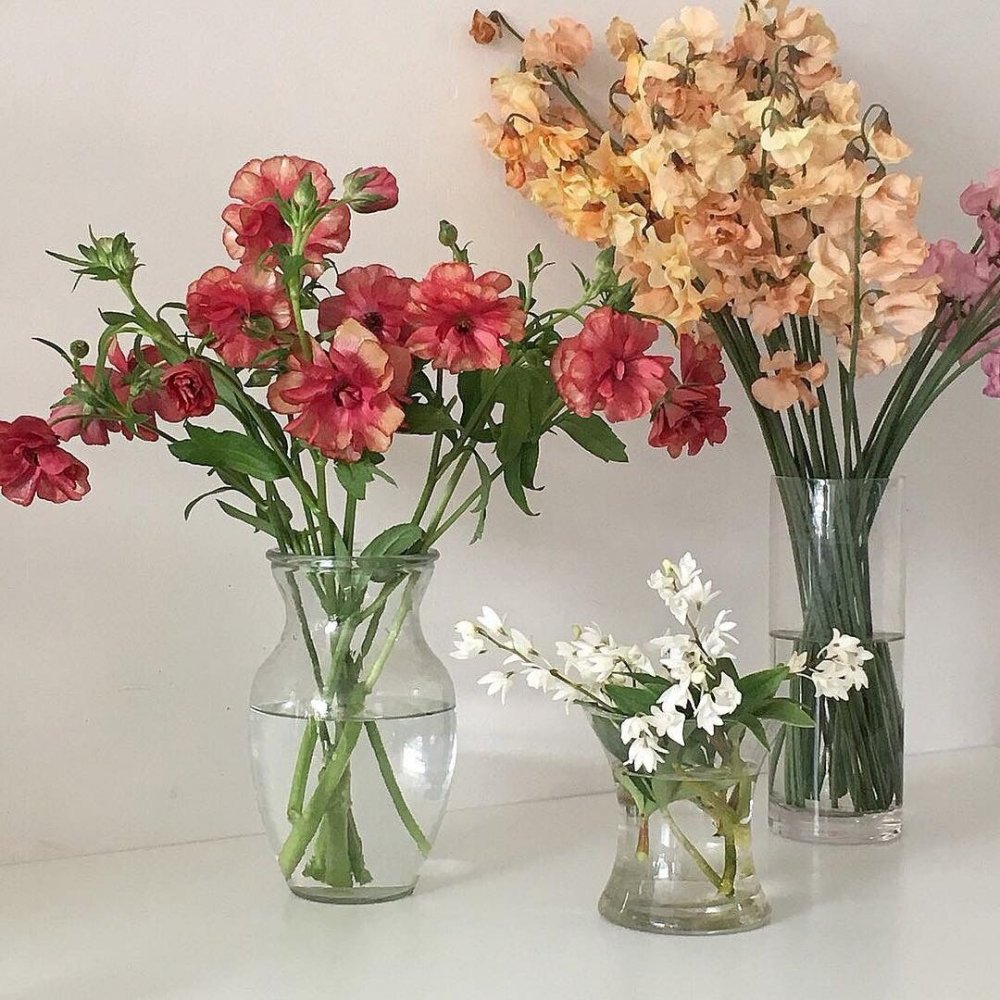 Эстетика цветов в вазе