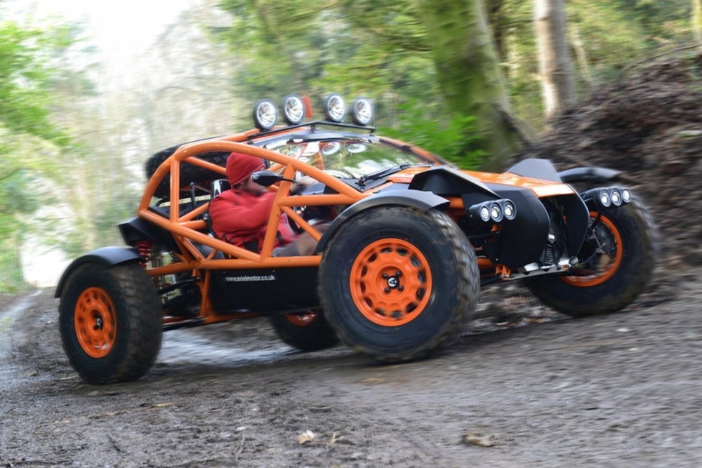 Багги Ariel Nomad