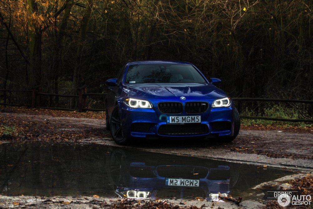 BMW m2 San Marino Blue