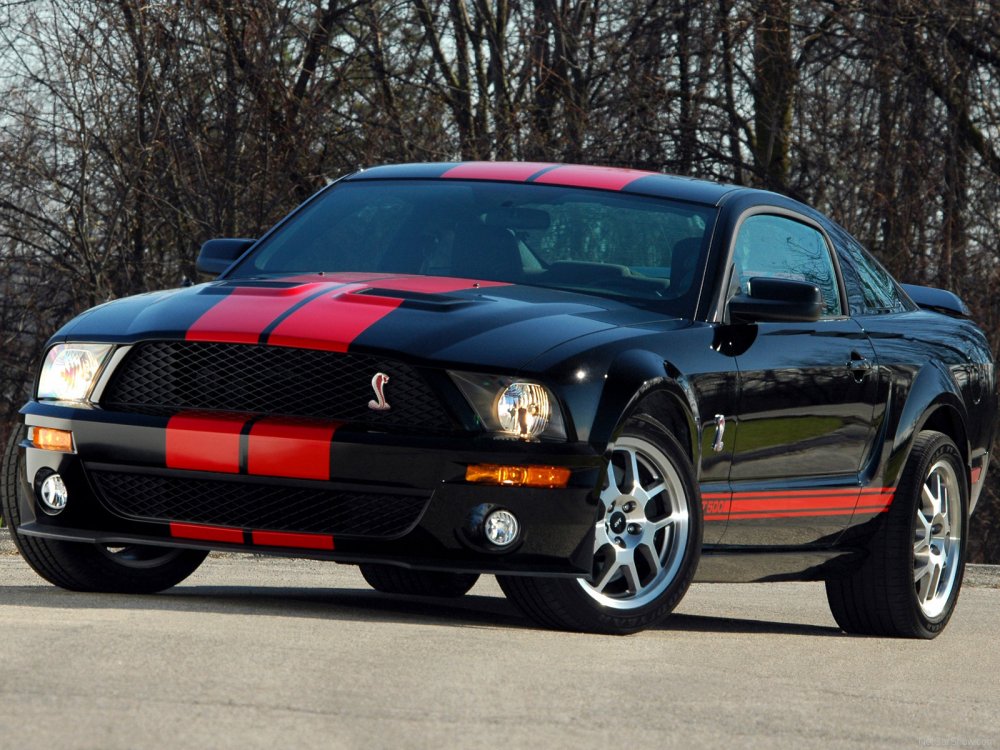 Ford Shelby gt500 2013