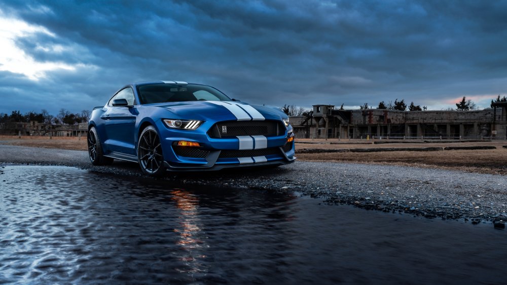 Ford Shelby gt500 значок