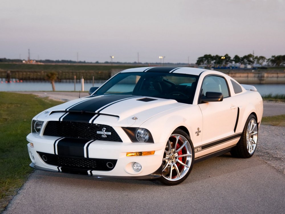 Форд Мустанг gt 500